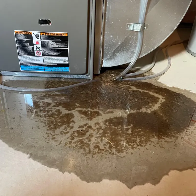 Appliance Leak Cleanup in Panama City, FL